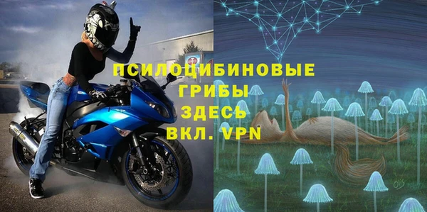не бодяженный Дмитриев