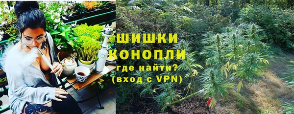 шишки Алзамай