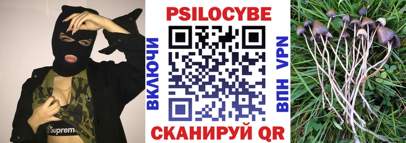 где найти наркотики  Чердынь  Псилоцибиновые грибы ЛСД 